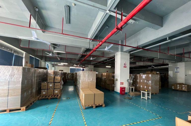 布吉南岭 布沙路边全新改造红本厂房整层1200平 大小可分租