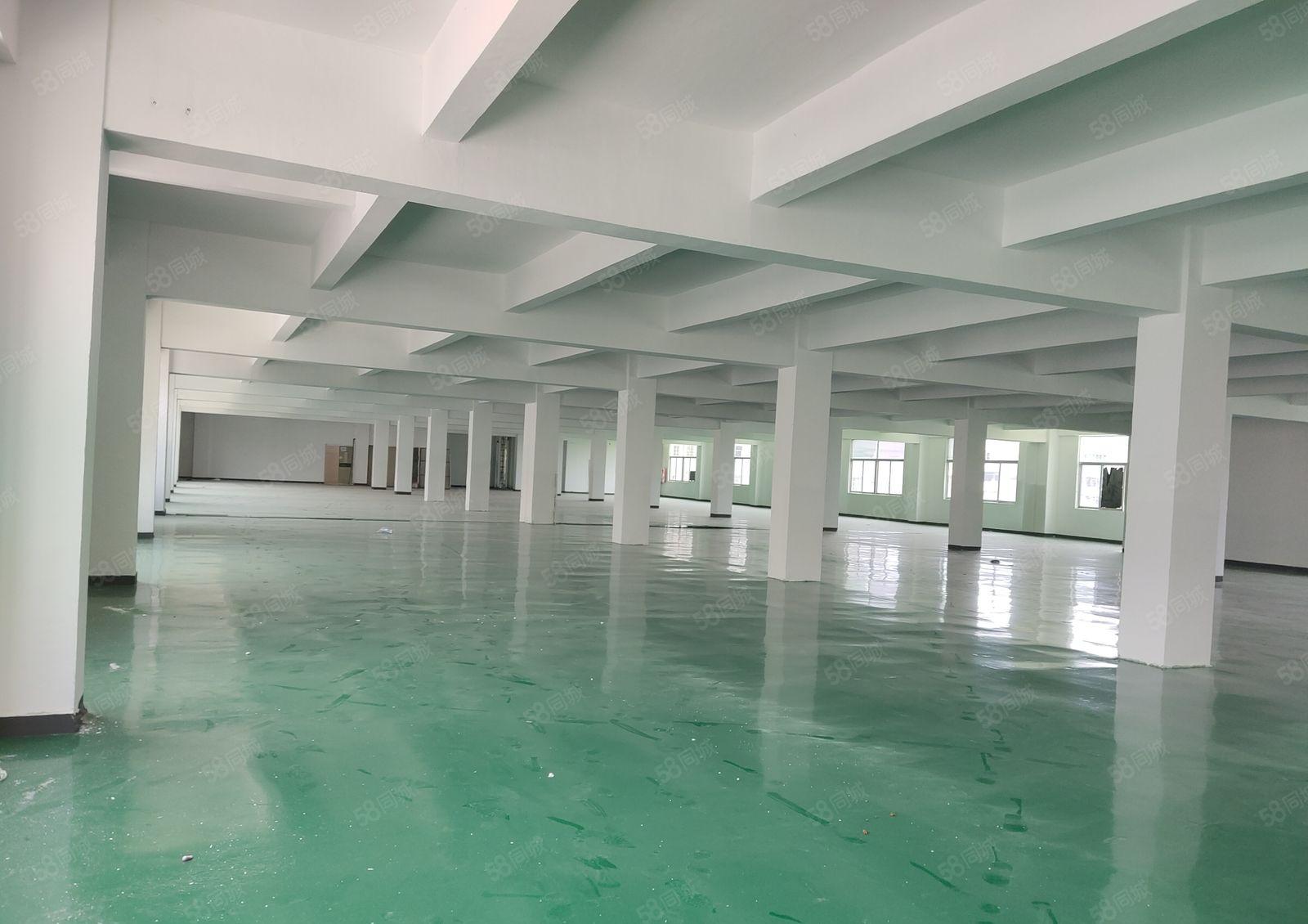 布吉上李朗工业区红本2百5百8百1千平楼上仓库厂房出租可分租