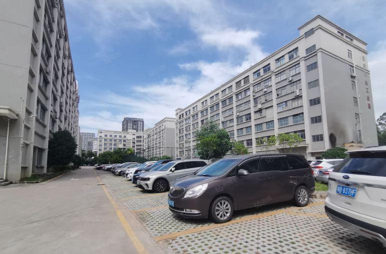 200平起租布吉板雪原房东工业园标准厂房带装修