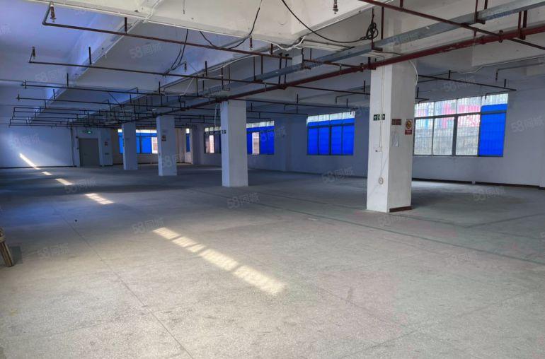 布吉丹竹头主干道1068平方，160平方起分