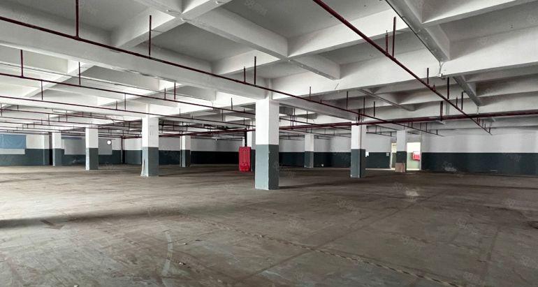 龙岗区地铁口独栋厂房11600平单层3200平原房东直租