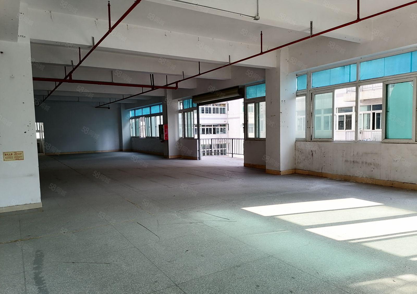 布吉 中交科技城 一手红本 100平至2610平厂房仓储出租