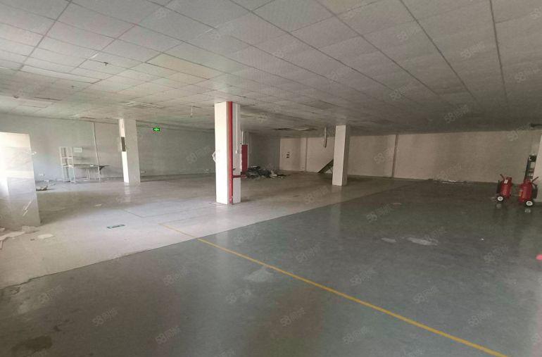 村委直租 南岭独院厂房一楼二楼各1500平仓库厂房出租可分租