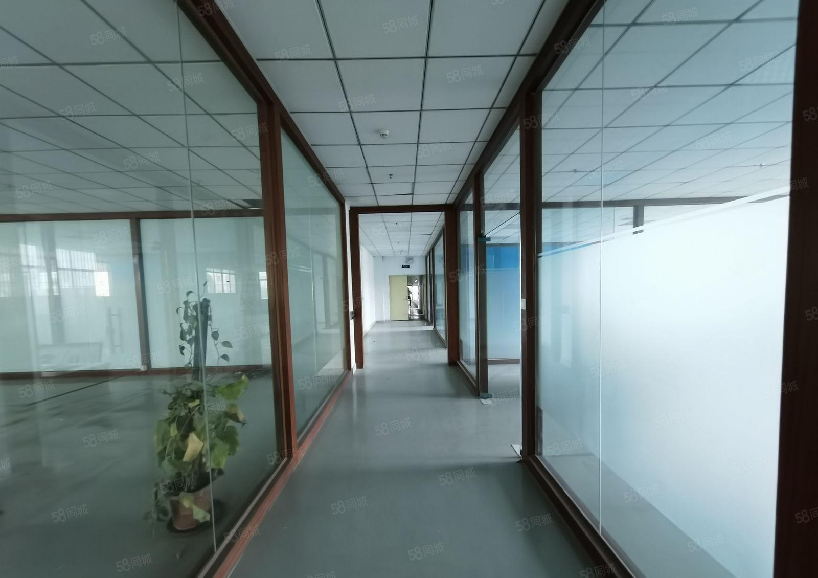 丹竹头中海信工业园1800平整层带装修拎包入住