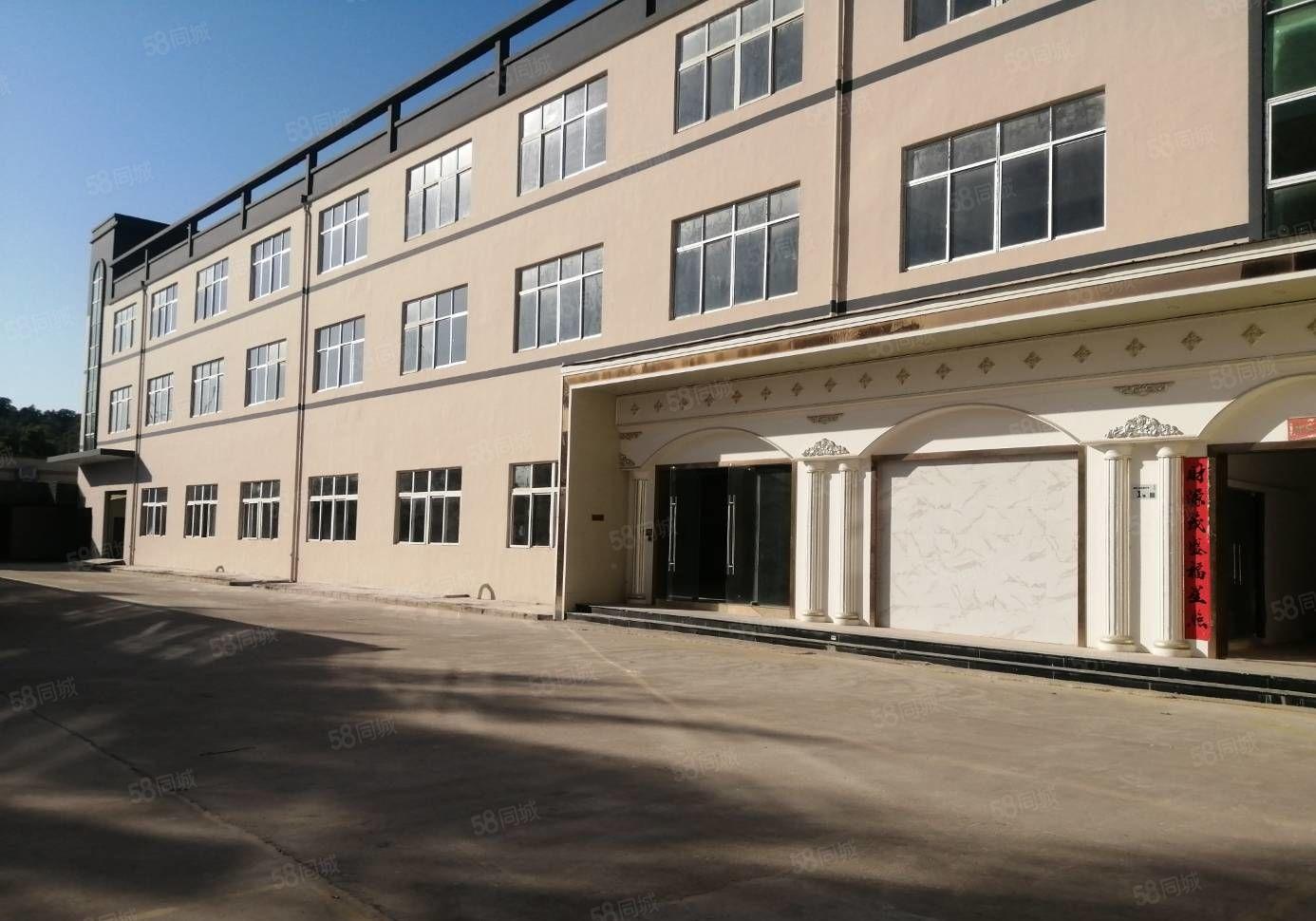 木棉湾原房东标准厂房5500平加2500平钢构 可整 可分