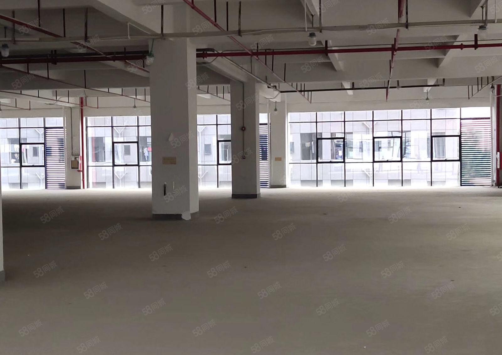 布吉海关附近新出二楼2500平米厂房出租带装修有红本