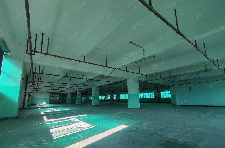 布吉李朗2000平红本厂房出租，原房东带红本可分租300起分