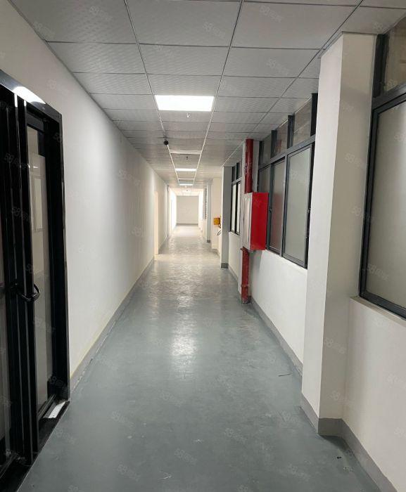 南岭科技园一二楼厂房出租 每层1150平（可分租）