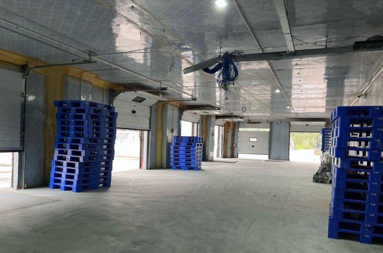 李朗冻库出租500平至1万平包电原房东实际面积出租