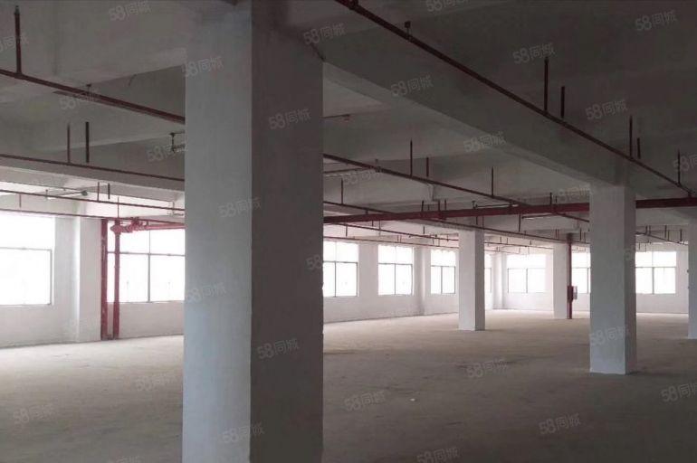 物业直租布吉丹竹头恒昊华物流园三楼1300平米厂房仓库出租