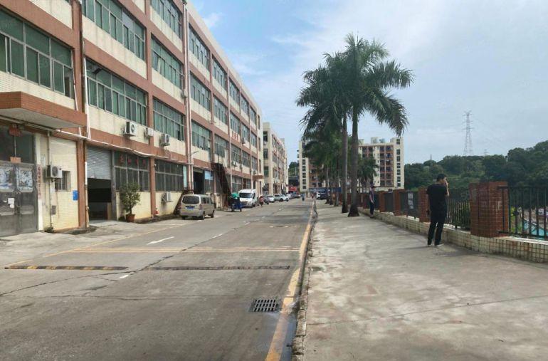 布吉丹竹头原房东新空出仓库出租1200平可分租地铁站