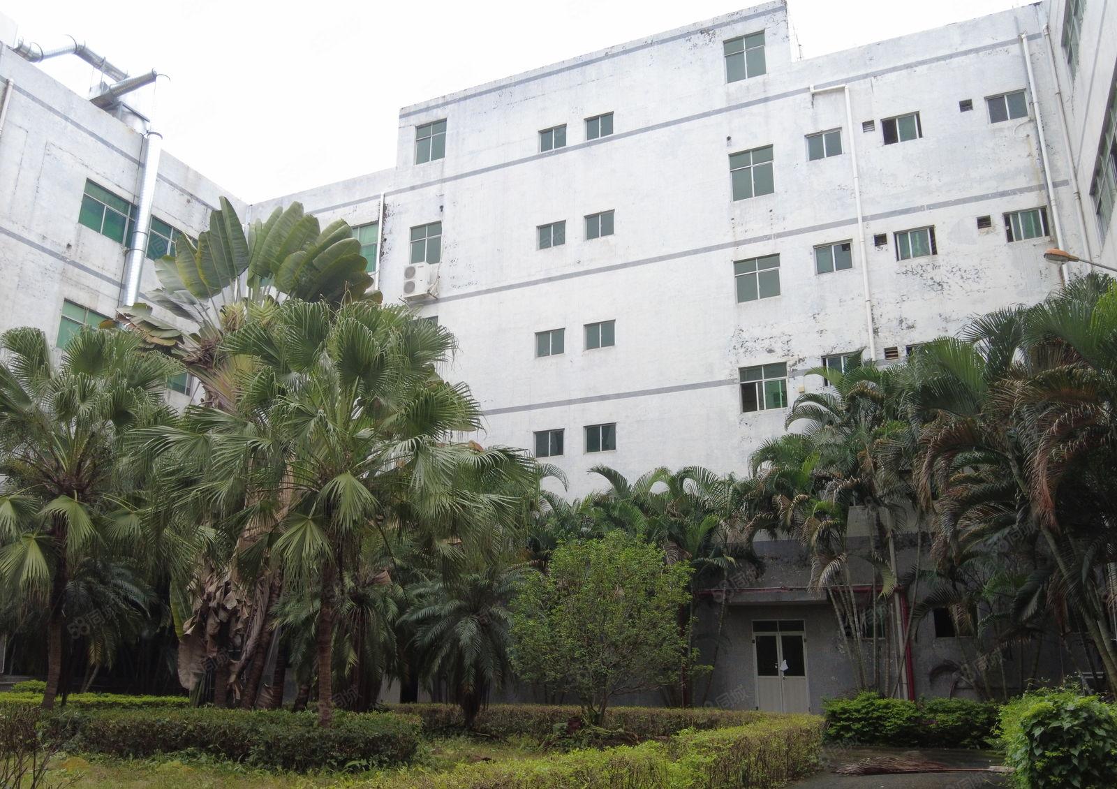 布吉南岭原房东200平起租厂房仓库低价出租15楼共5千平