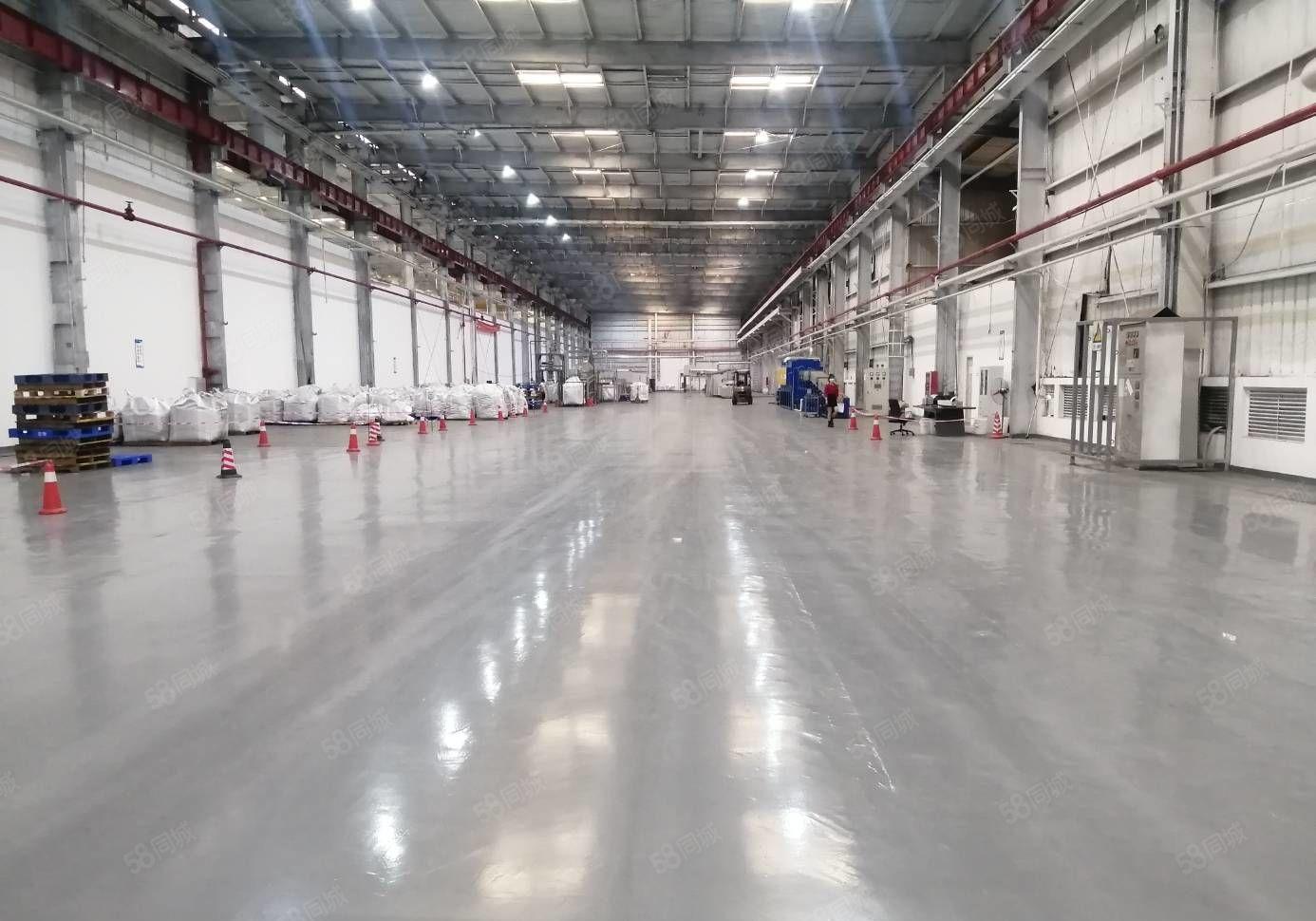 木棉湾原房东标准厂房5500平加2500平钢构 可整 可分