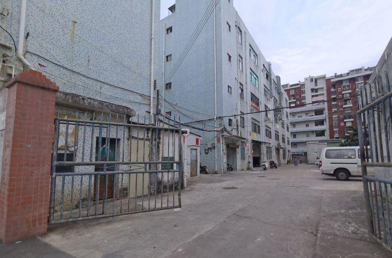 深圳布吉李朗厂房出租3500平独门独院仓库出租分租超大空地
