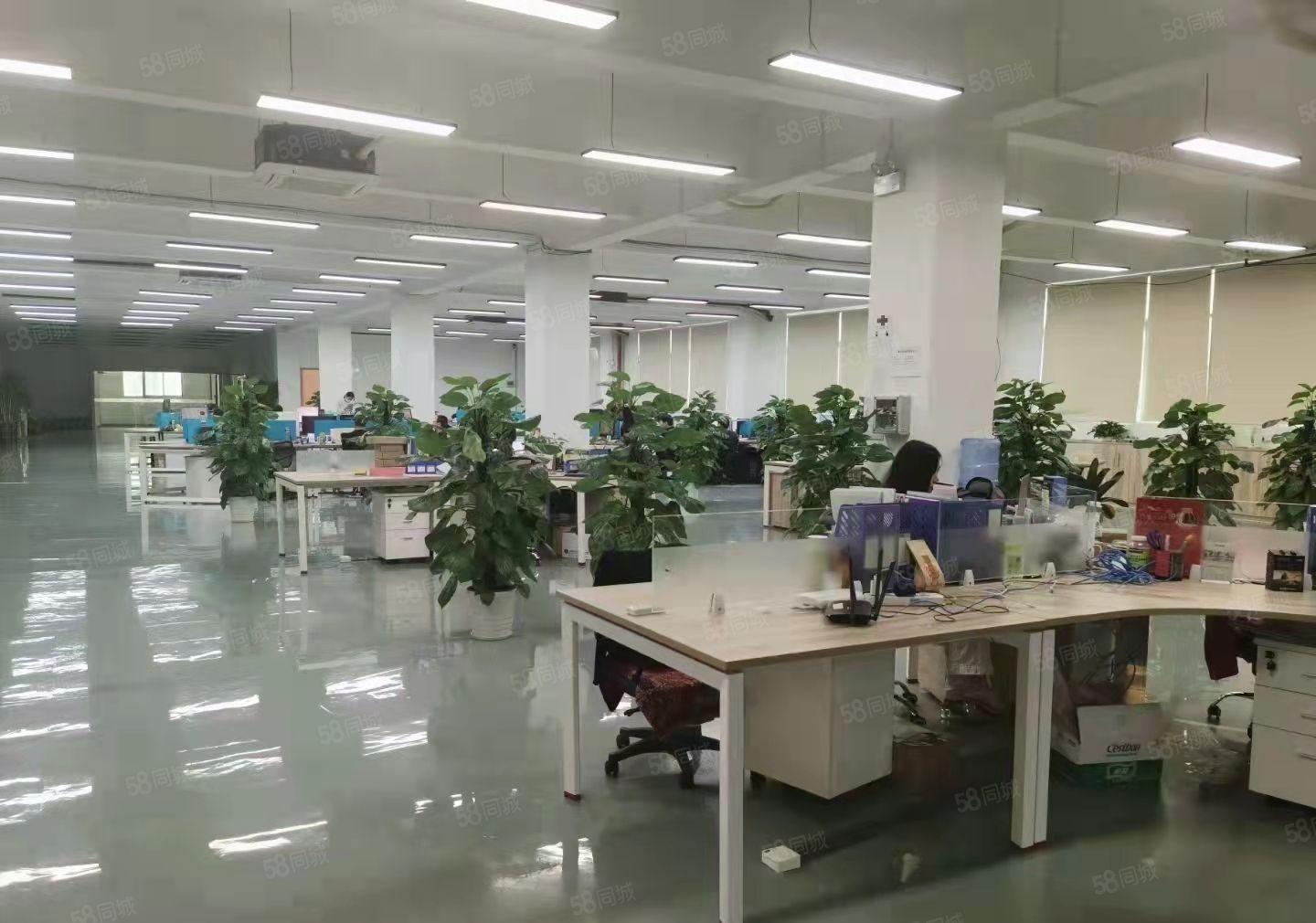 布吉上李朗高薪科技园楼上500至2000平方带装修厂房出租