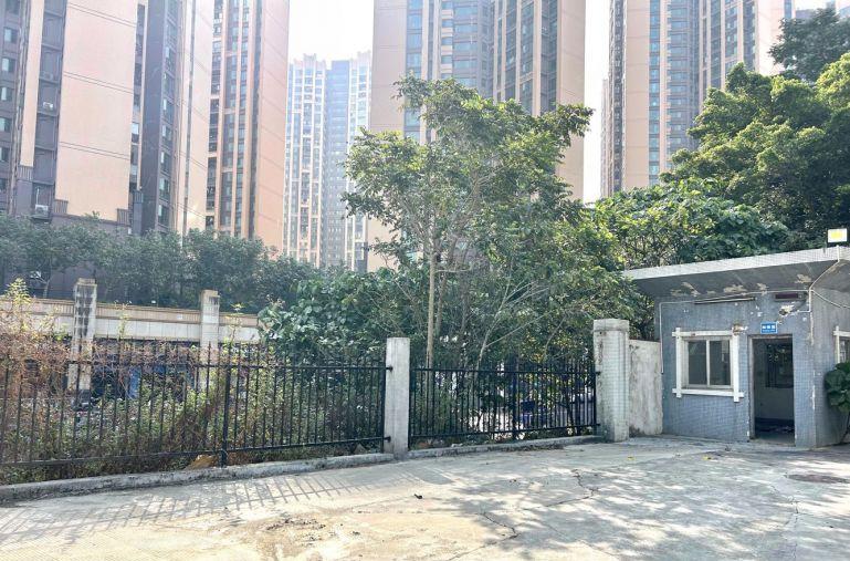 布吉地铁口 500平起 原房东厂房出租 一楼层高7米 带牛角