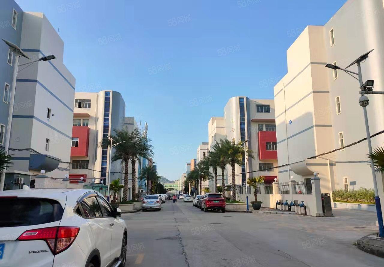 200平起租布吉丹竹地铁站电商园带精装修办公室厂房仓库出租