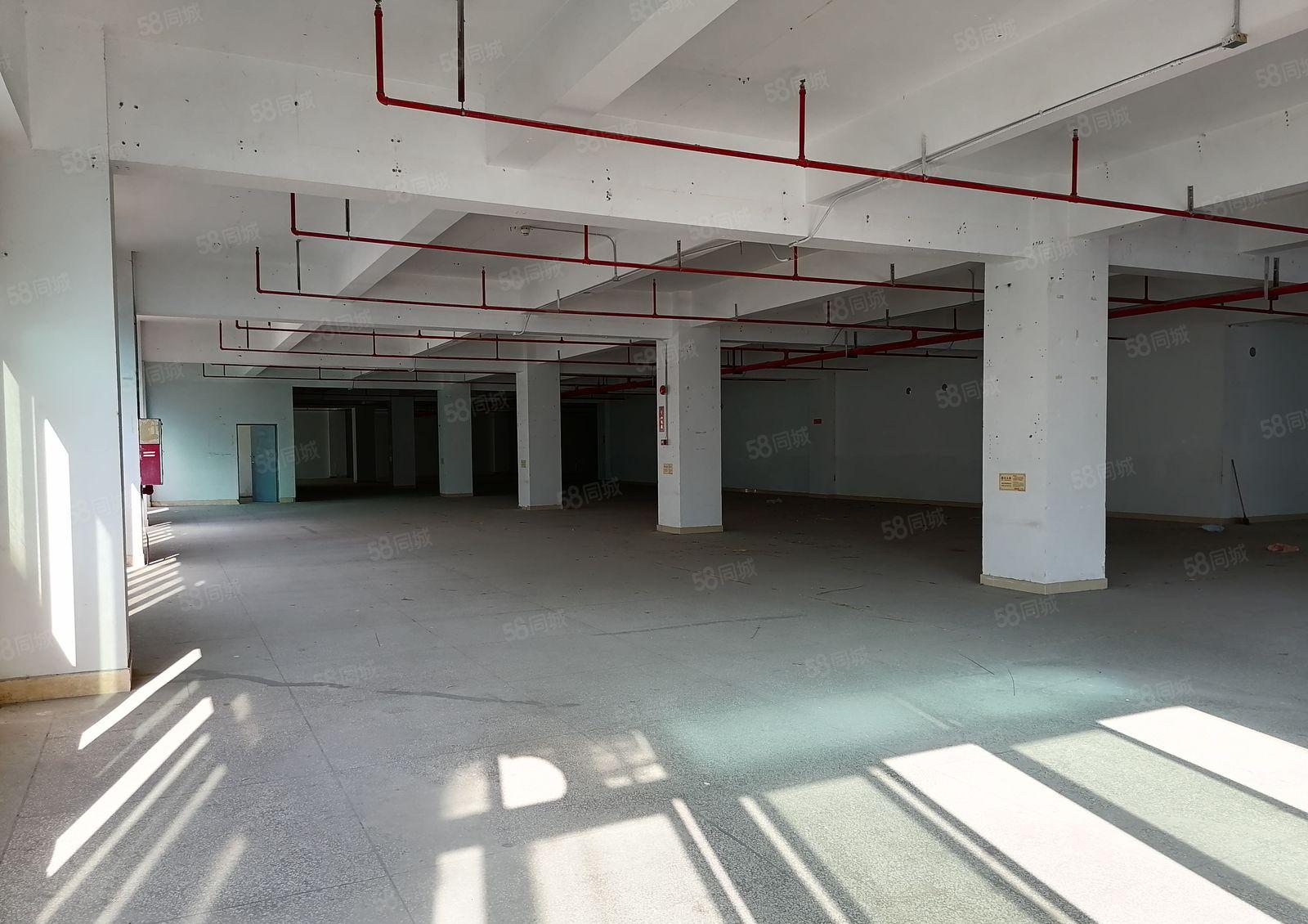 布吉 中交科技城 主干道旁 一手红本652平厂房仓储出租