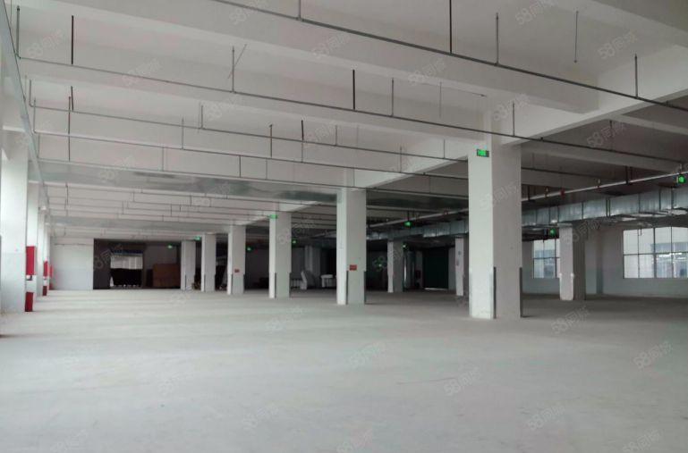 龙岗布吉原房东带卸货平台一楼500至5000平厂房仓库出租