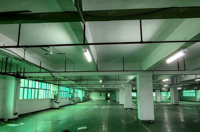 特价19.9秀布吉峰工业区原房东直3000平方130平方起租