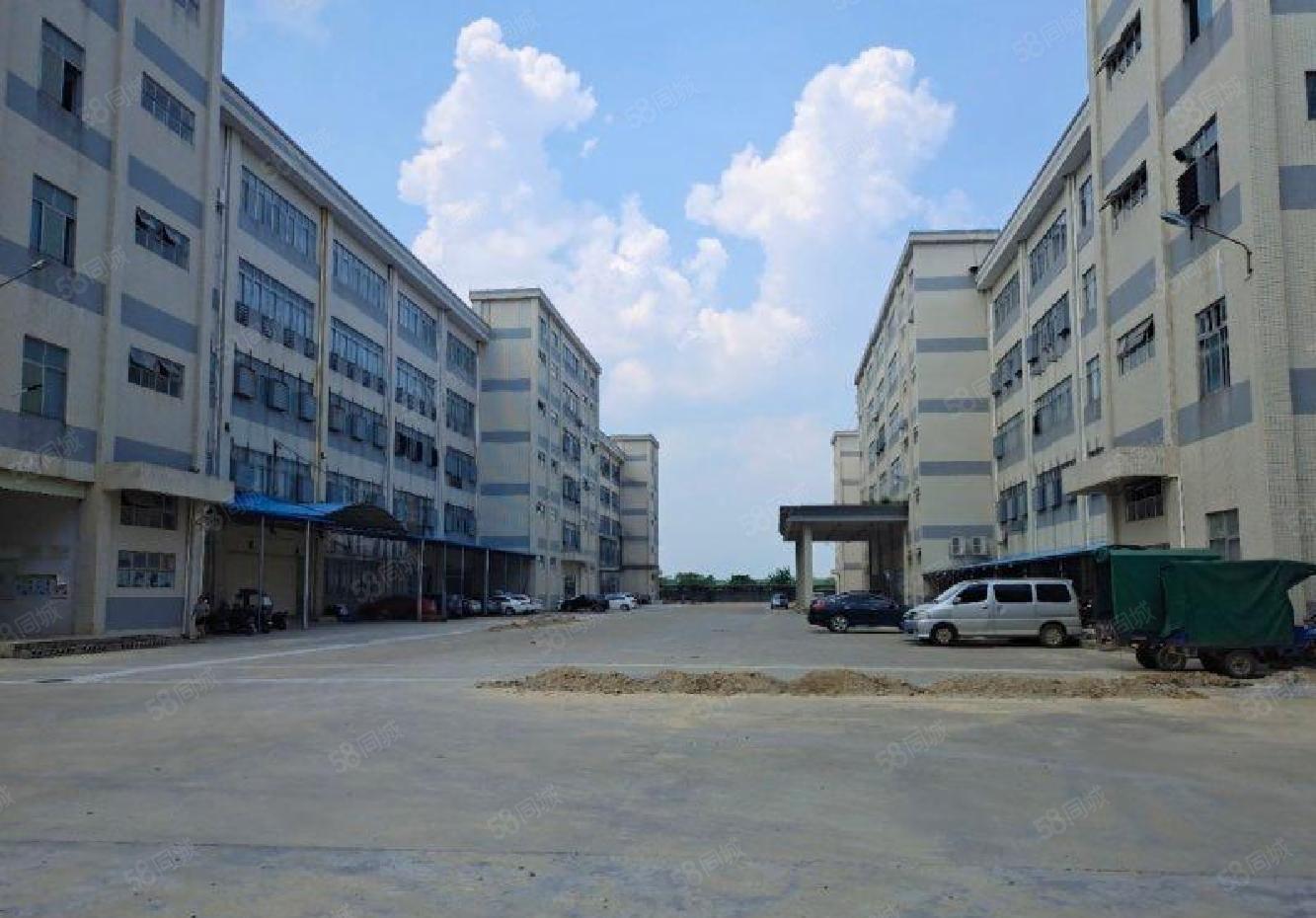 上李朗科技园红本地铁口2650平红本厂房出租精装大小可分