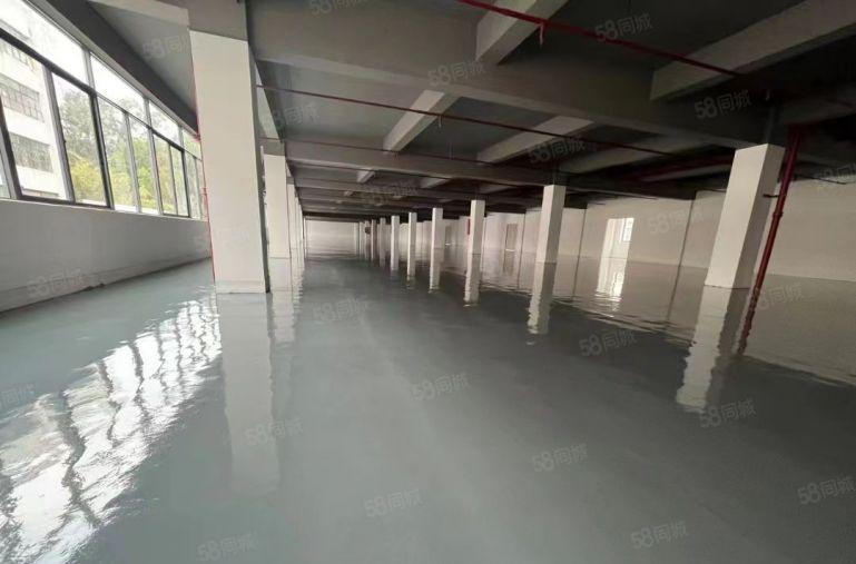 布吉地铁口红本办公室加仓库1000平厂房带卸货平台200平分