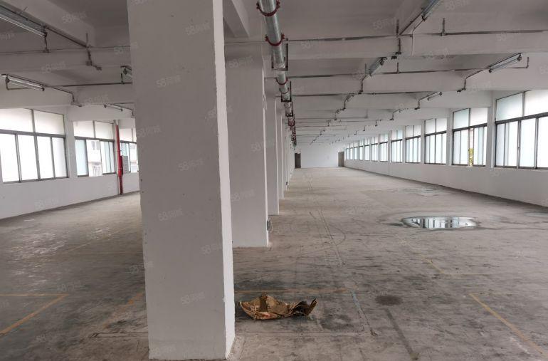 布吉布沙路南岭新出2楼830平房产证红本村委一手使用率高出租