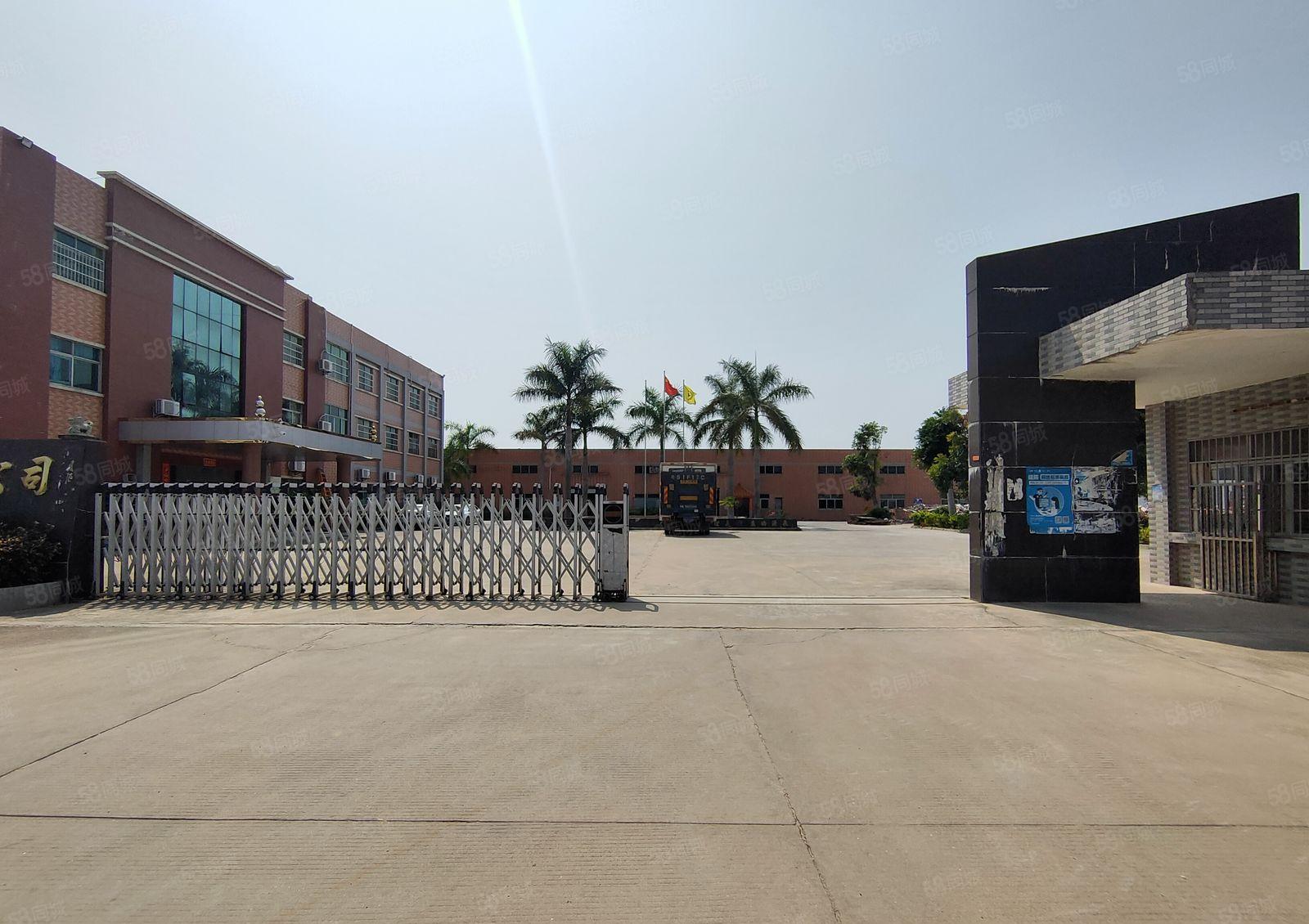 坂田原房东一楼高10米独门独院1万平钢构，超大空地2000平