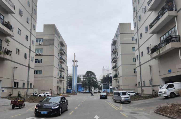 坂田布吉新出1000平至5000平方厂房仓库出租独院大小分租