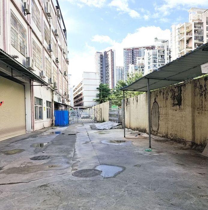 布吉独门独院一楼，无停车费，业主直租