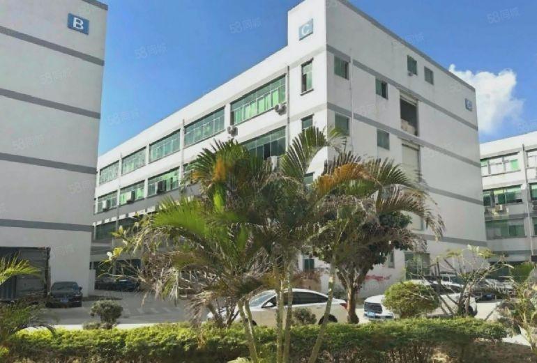 布吉李郎工业区，地理位置好，交通方便300平起分租