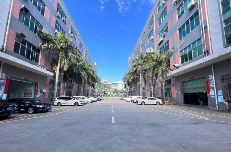 布吉丹竹头6000平独栋厂房出租原房东实际面积层高6米可分租