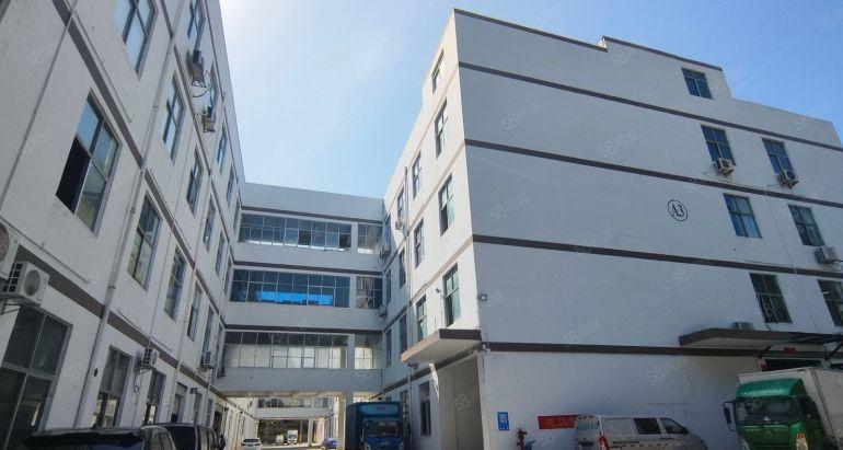 上水经原房东整栋12000平带装修500平起厂房出租仓库出租