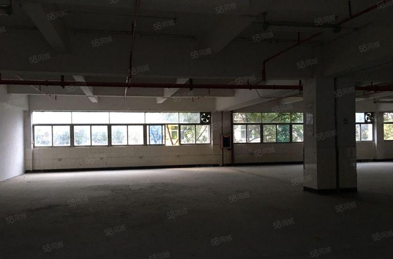 布吉丹竹头恒昊华物流园二楼300平米电商仓库出租