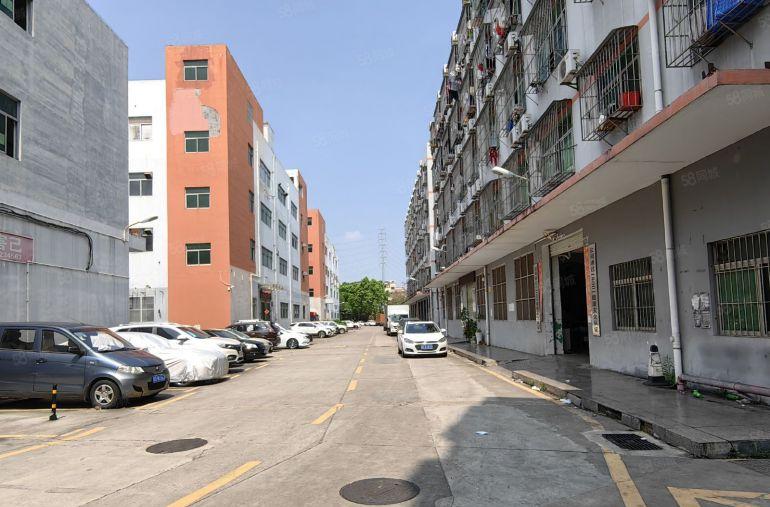 布吉上李朗地铁站高速出口旁边整栋厂房4层12000平方可分租