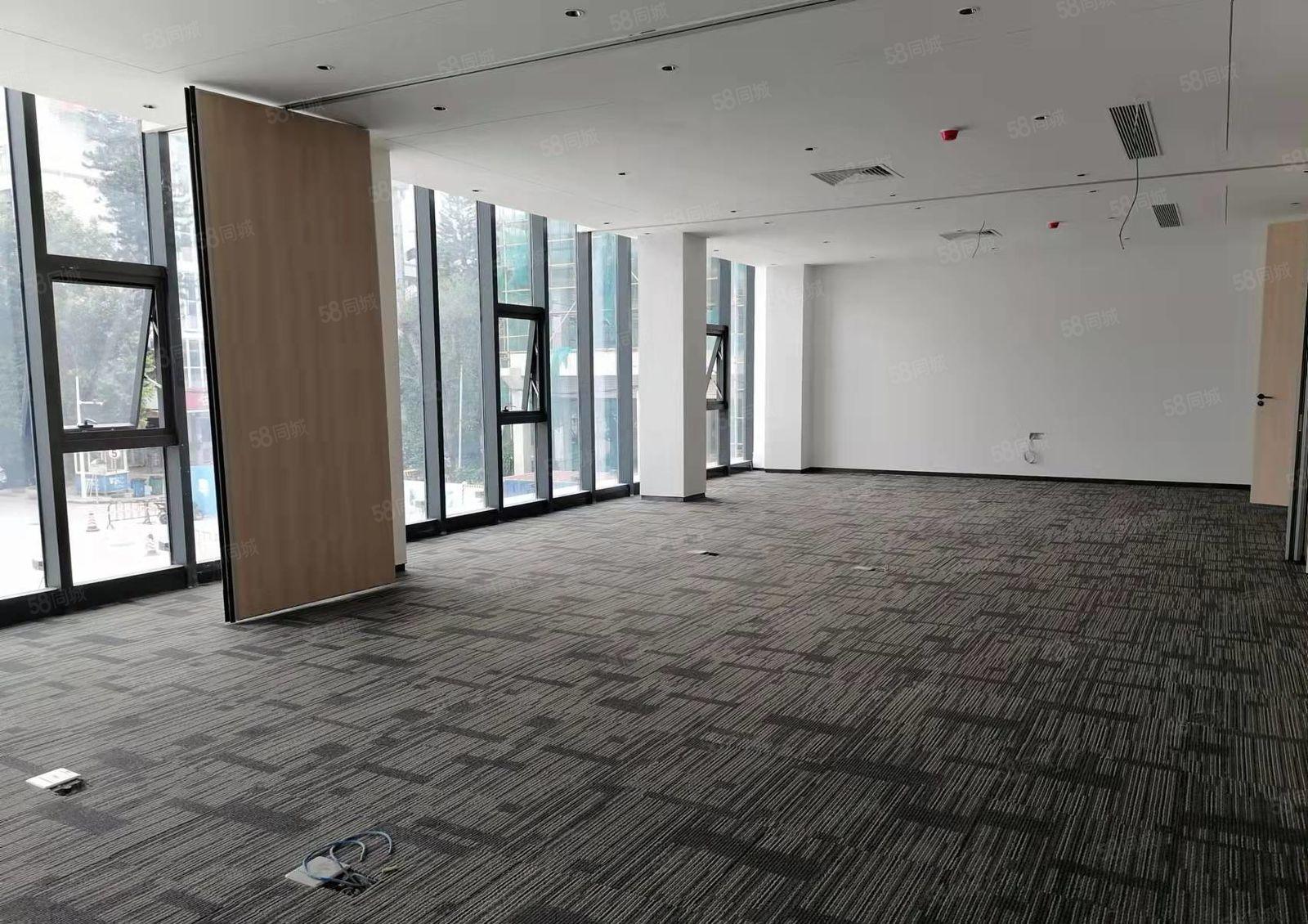 布吉 中交科技城 主干道旁 全新精装 独栋办公 整栋出租