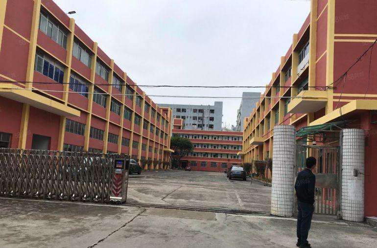 罗湖草埔工业区独门独院厂房6000平可分