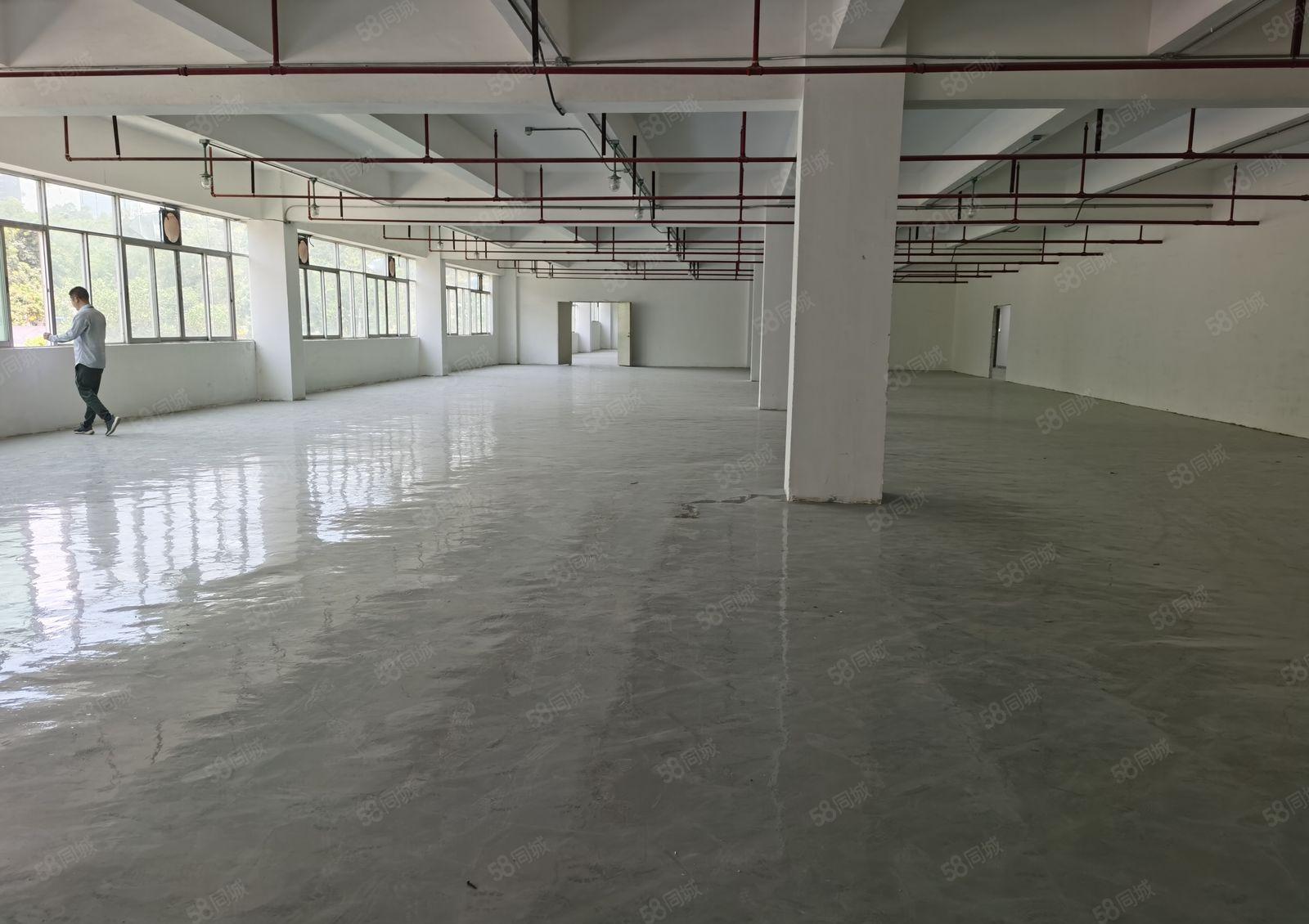 布吉丹竹头新出200平至5000平一二楼园区厂房仓库大小分租