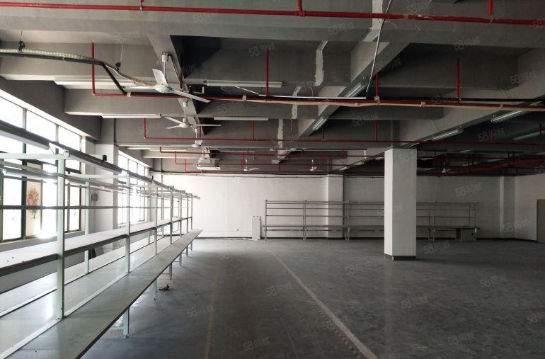 原房东厂房一楼1450平楼上2360平，实用高