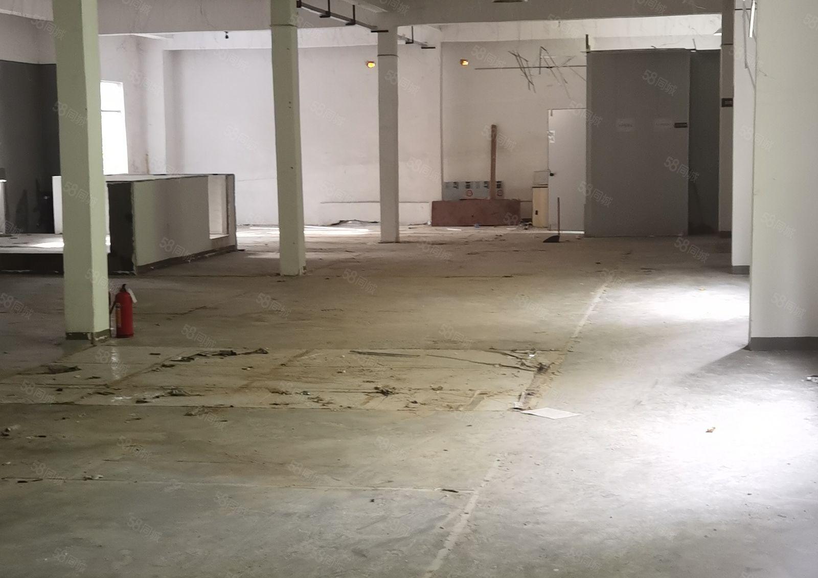 地铁口物业 300平方起租 独门独院 大型工业区