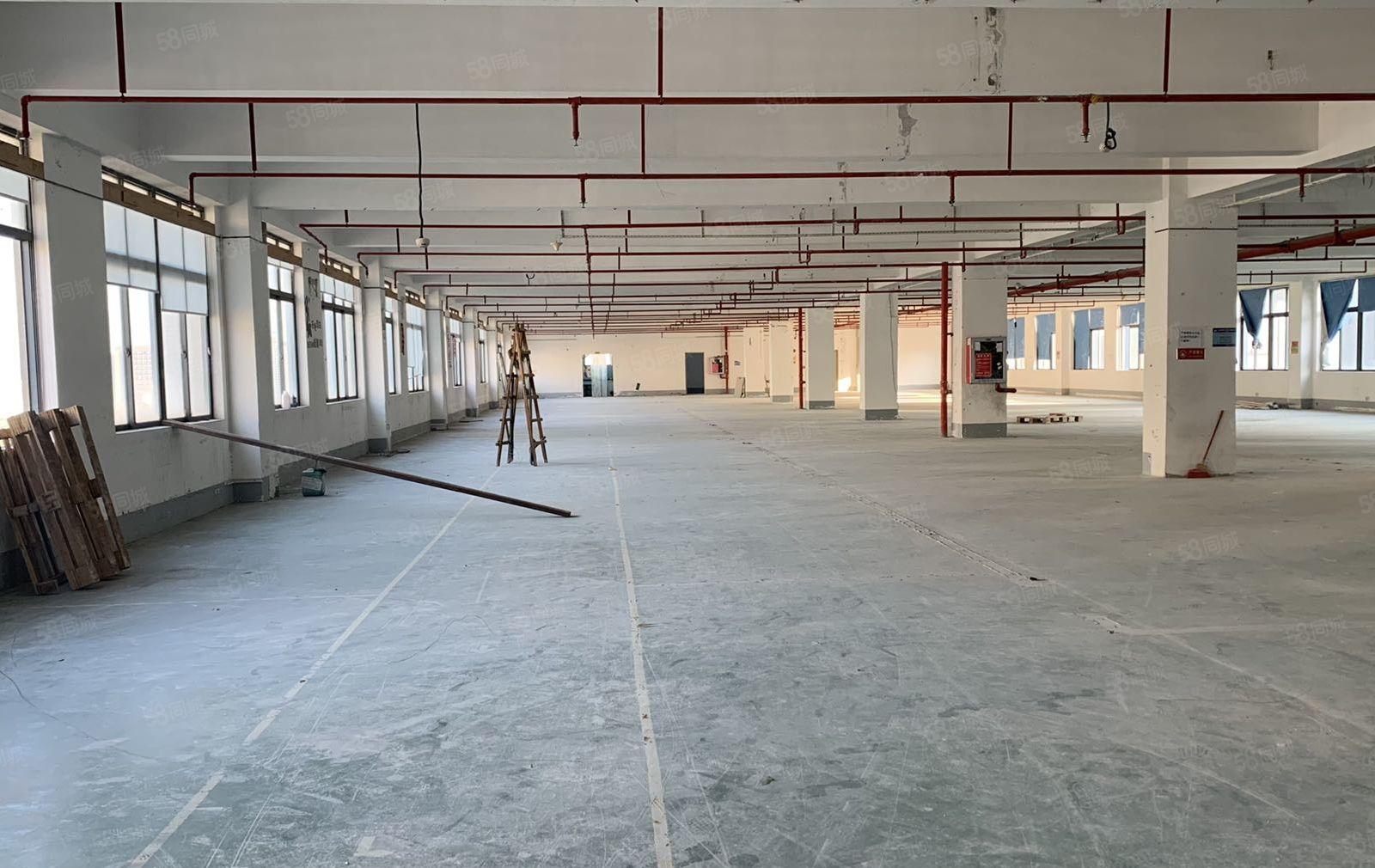 业主直租龙岗布吉独院厂房一楼二楼2000平红本厂房仓库出租