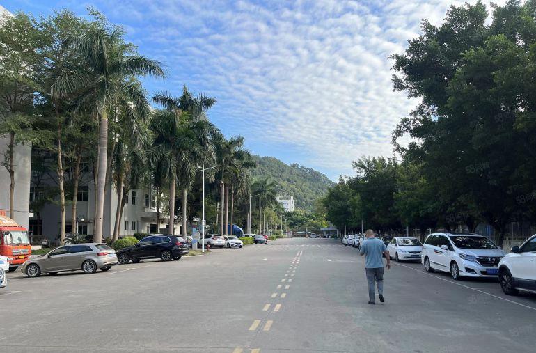 布吉街新出楼上600平现成装修办公室仓库厂房低价出租