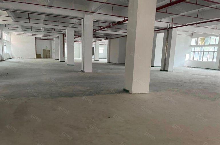 布吉联创科技园一楼厂房出租整层1600平，可分800平方