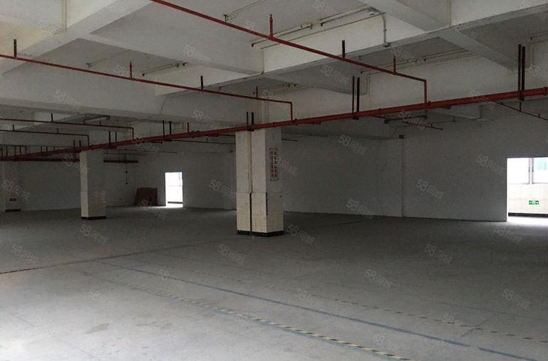 布吉丹竹头恒昊华物流园二楼300平米电商仓库出租