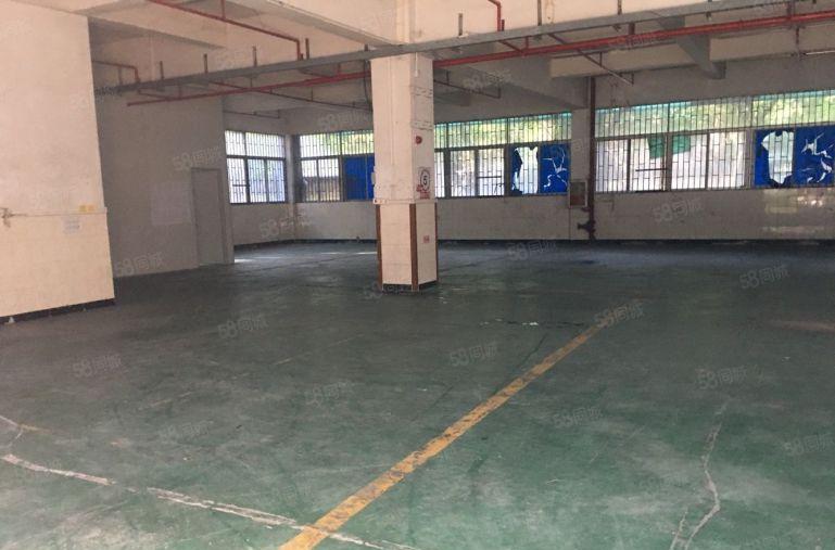 布吉丹竹头恒昊华物流园二楼300平米电商仓库出租