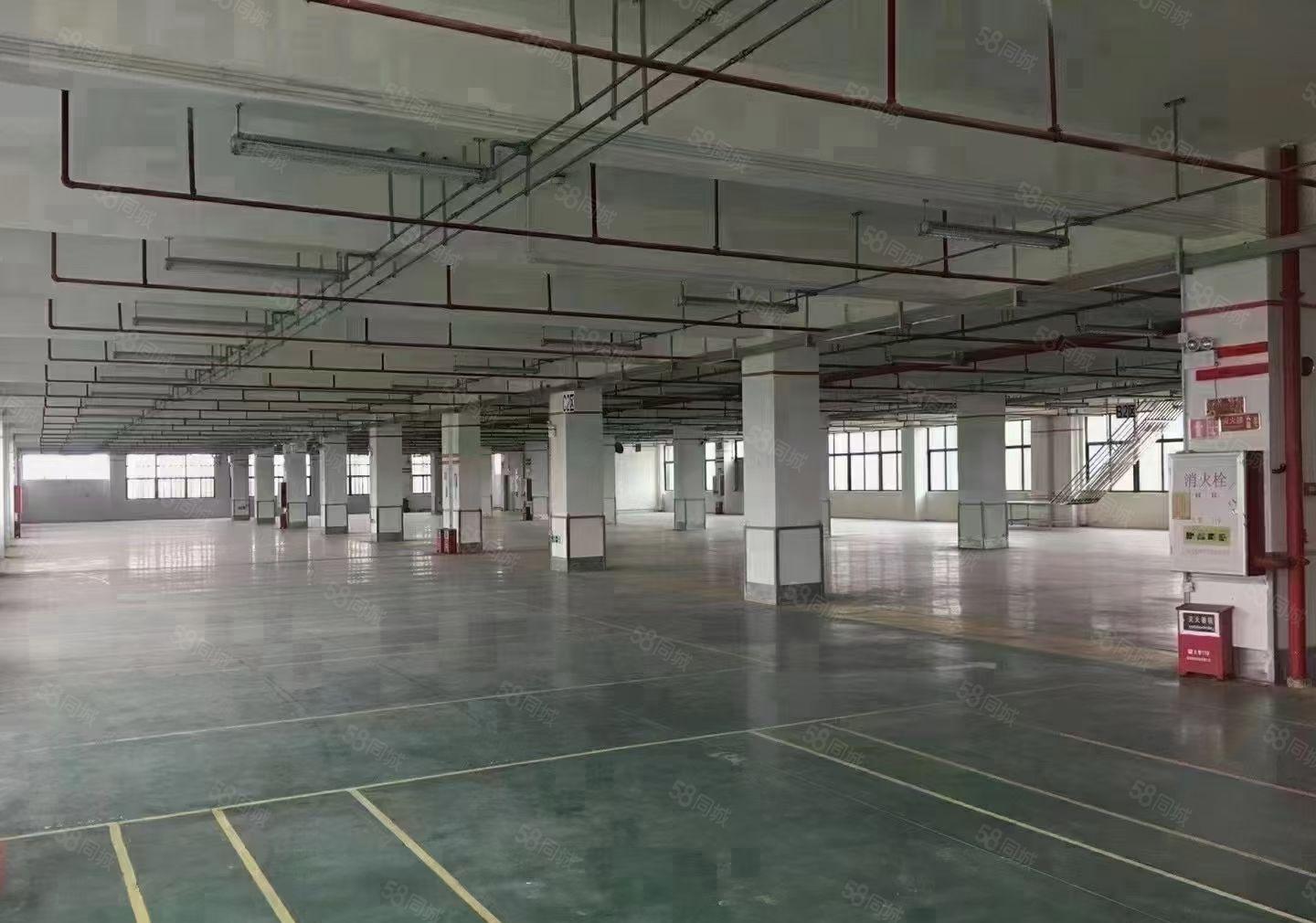 300平起分丹竹头大型工业园区3楼1200平厂房出租现成装修