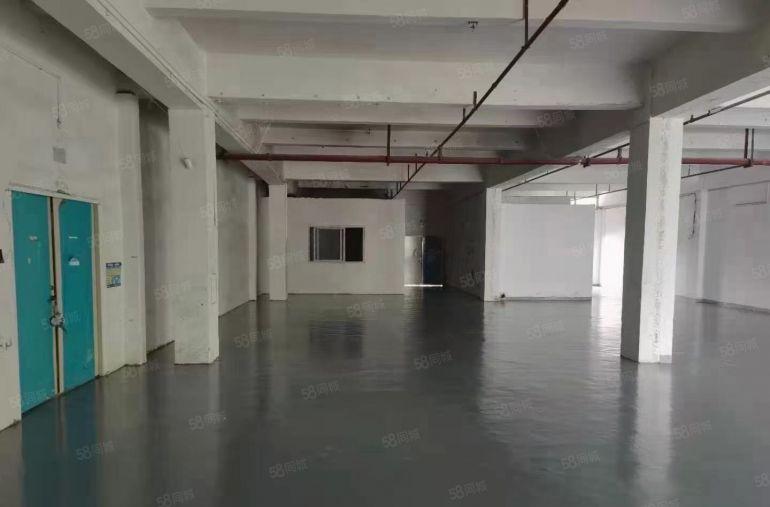 布吉南岭工业园小面积电商仓库100平200平300平出租