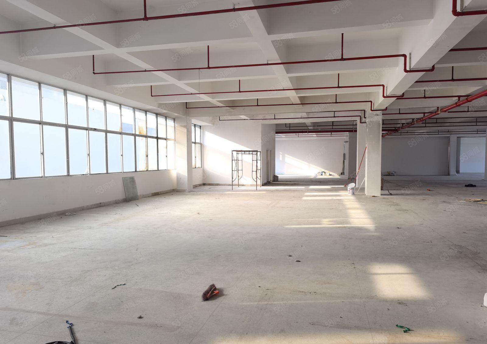 布吉上李朗工业区500至1688平带装修一手房东交通便利