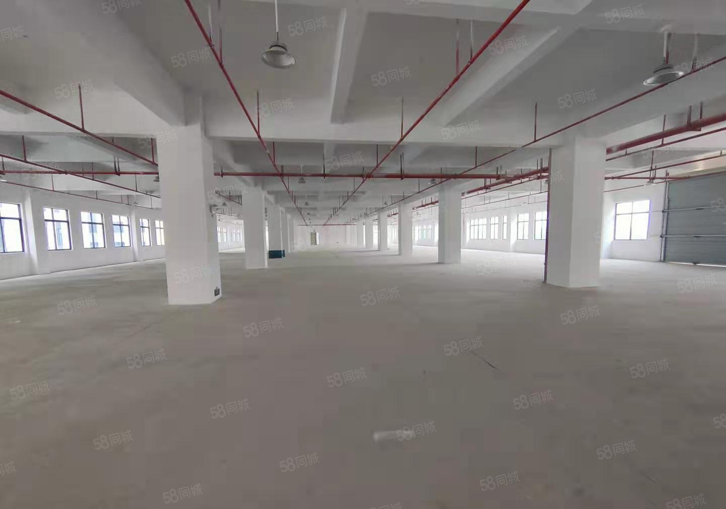 木棉湾主干道边大型工业园2100平厂房招租3吨货梯200平起