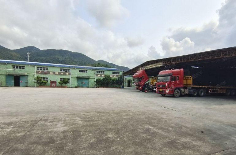 特价1楼仓库出租布吉独院钢构5000平方厂房仓库低价出租